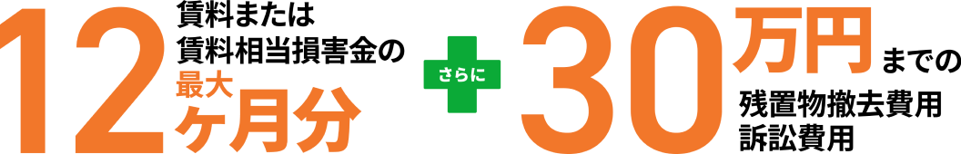 賃料または賃料相当損害金の最大12ヶ月分+30万円までの残置物撤去費用訴訟費用を保証
